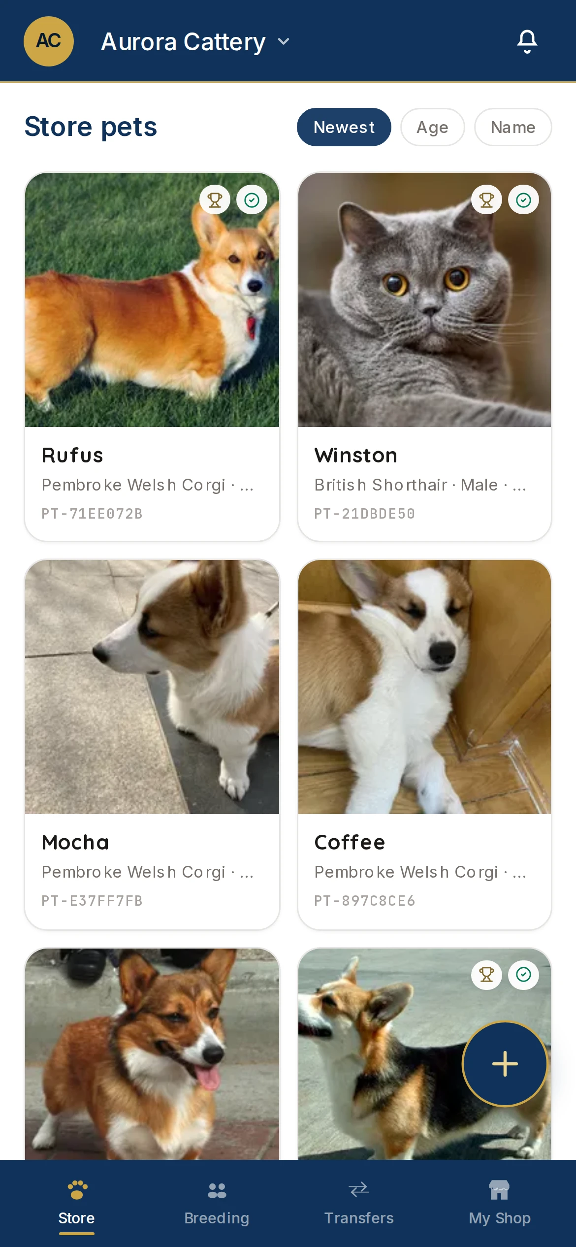 Store pets grid with status and Petti IDs